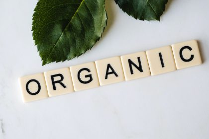 zdrowa żywność organiczna